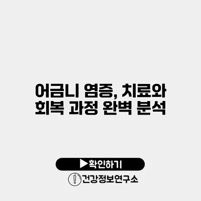 어금니 염증, 치료와 회복 과정 완벽 분석