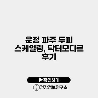 운정 파주 두피 스케일링, 닥터모다르 후기