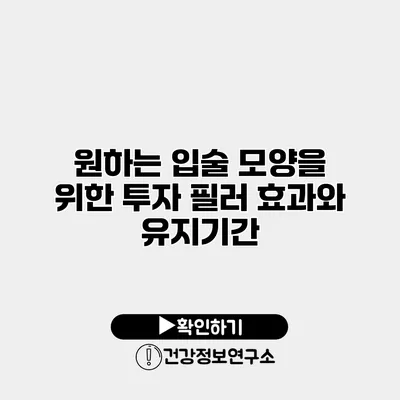 원하는 입술 모양을 위한 투자 필러 효과와 유지기간