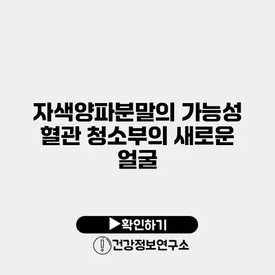 자색양파분말의 가능성 혈관 청소부의 새로운 얼굴