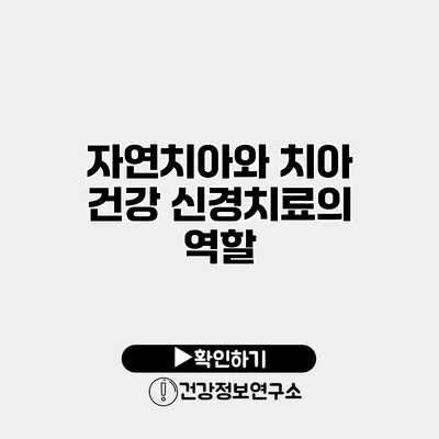 자연치아와 치아 건강 신경치료의 역할