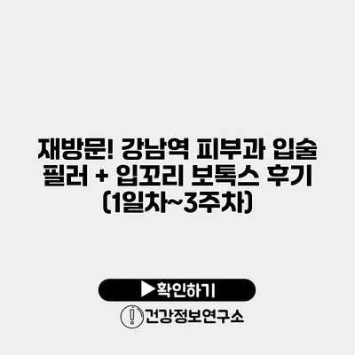 재방문! 강남역 피부과 입술 필러 + 입꼬리 보톡스 후기 (1일차~3주차)