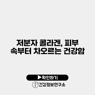 저분자 콜라겐, 피부 속부터 차오르는 건강함