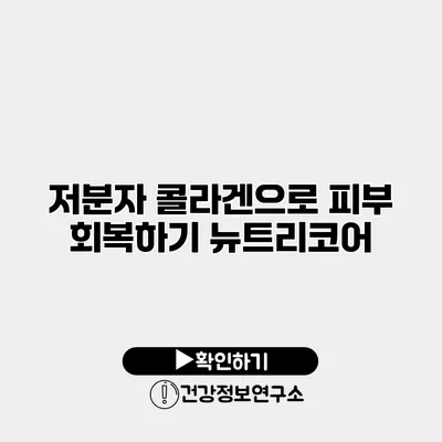 저분자 콜라겐으로 피부 회복하기 뉴트리코어