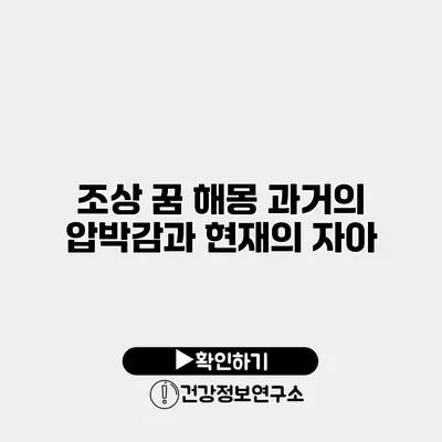 조상 꿈 해몽 과거의 압박감과 현재의 자아