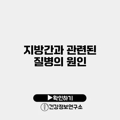 지방간과 관련된 질병의 원인