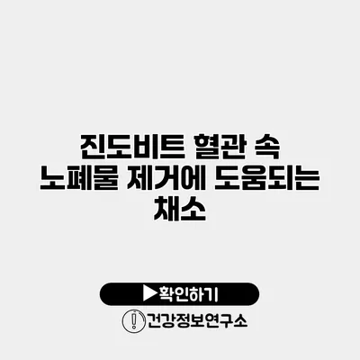 진도비트 혈관 속 노폐물 제거에 도움되는 채소