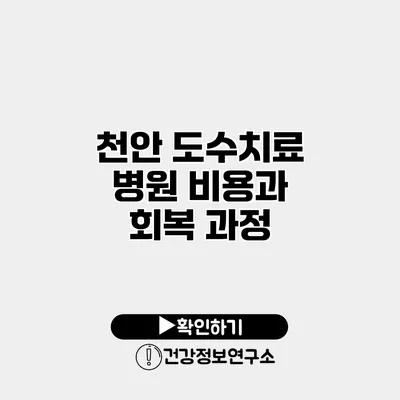 천안 도수치료 병원 비용과 회복 과정
