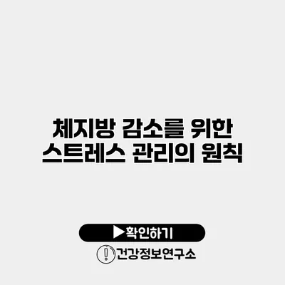 체지방 감소를 위한 스트레스 관리의 원칙