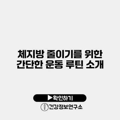 체지방 줄이기를 위한 간단한 운동 루틴 소개