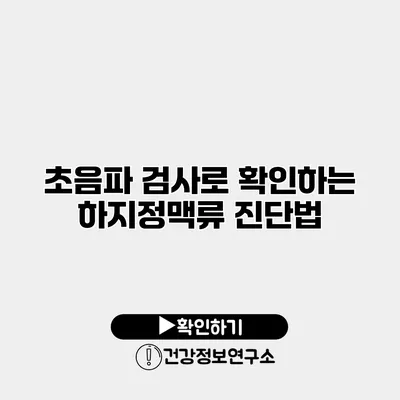 초음파 검사로 확인하는 하지정맥류 진단법