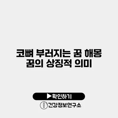 코뼈 부러지는 꿈 해몽 꿈의 상징적 의미
