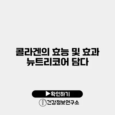 콜라겐의 효능 및 효과 뉴트리코어 담다