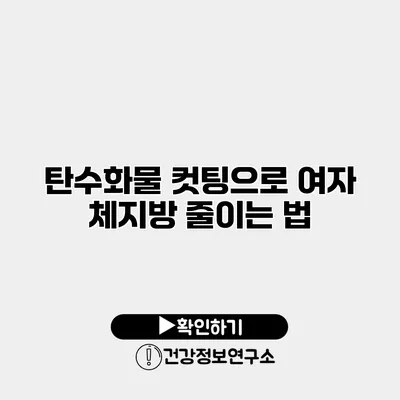 탄수화물 컷팅으로 여자 체지방 줄이는 법