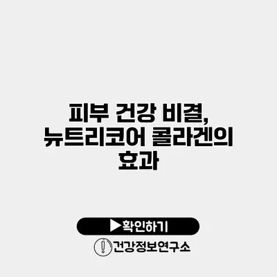 피부 건강 비결, 뉴트리코어 콜라겐의 효과