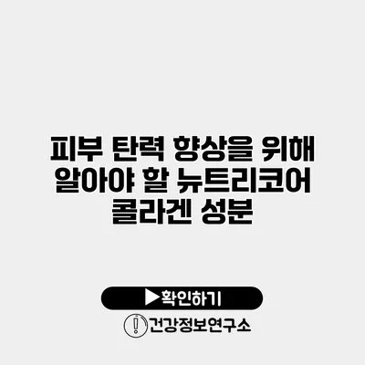 피부 탄력 향상을 위해 알아야 할 뉴트리코어 콜라겐 성분