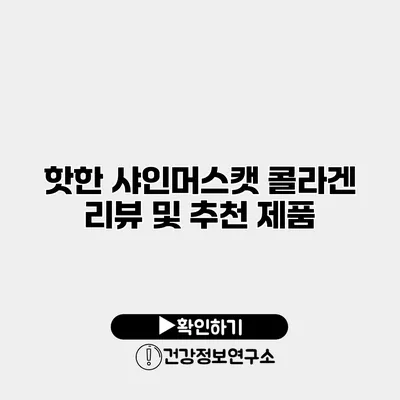 핫한 샤인머스캣 콜라겐 리뷰 및 추천 제품