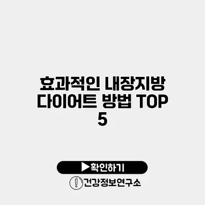 효과적인 내장지방 다이어트 방법 TOP 5