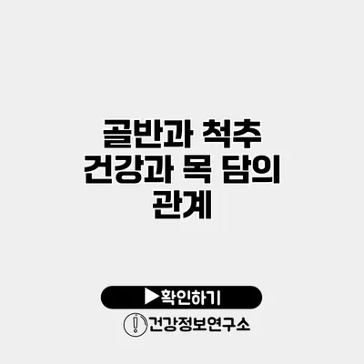 골반과 척추 건강과 목 담의 관계