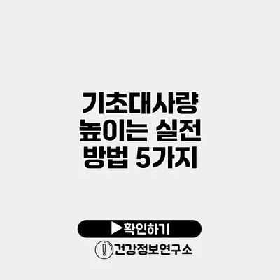 기초대사량 높이는 실전 방법 5가지