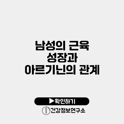 남성의 근육 성장과 아르기닌의 관계