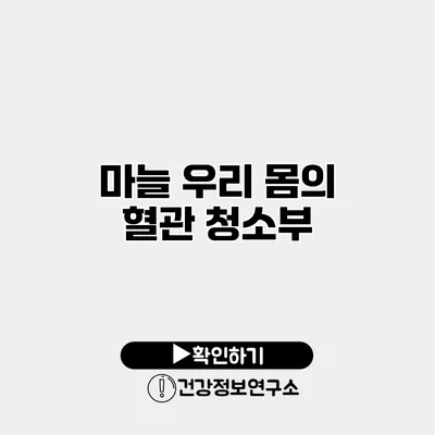 마늘 우리 몸의 혈관 청소부