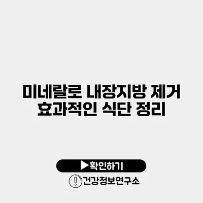미네랄로 내장지방 제거 효과적인 식단 정리