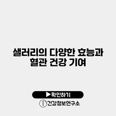 샐러리의 다양한 효능과 혈관 건강 기여
