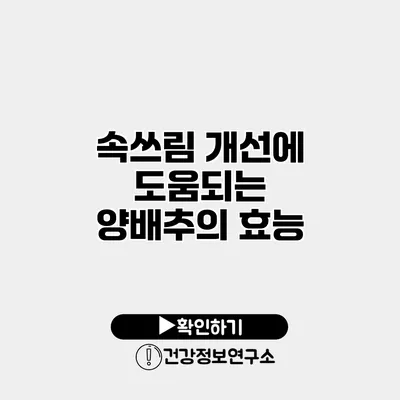 속쓰림 개선에 도움되는 양배추의 효능