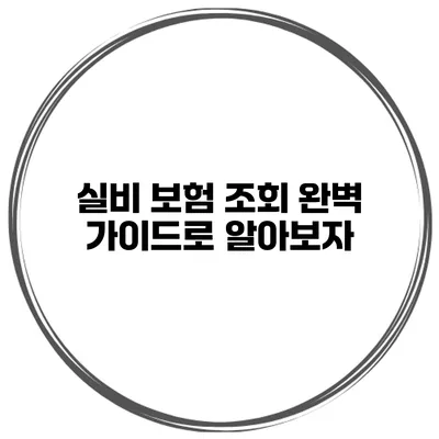 실비 보험 조회 완벽 가이드로 알아보자