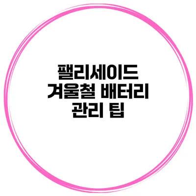 팰리세이드 겨울철 배터리 관리 팁