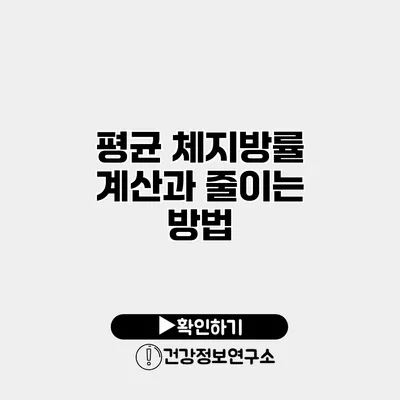 평균 체지방률 계산과 줄이는 방법